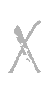 Logo X – Carola X Matthes